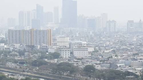 Polusi Udara Sebabkan Gangguan Kognitif dan Stunting