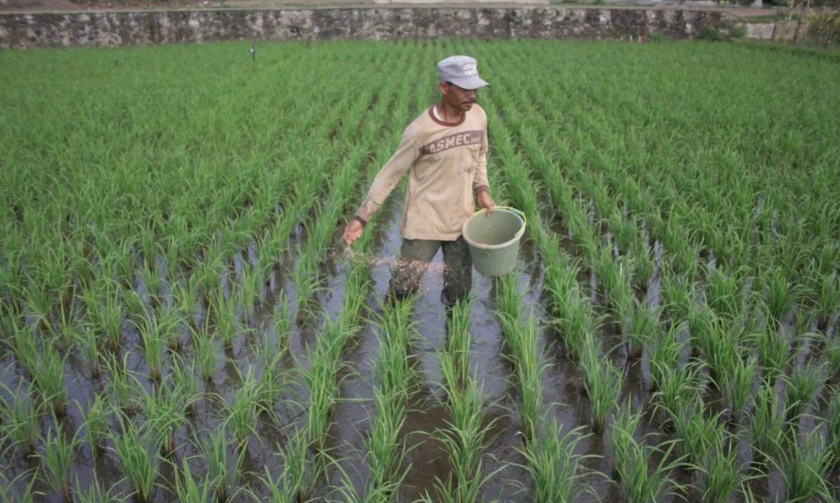 Kabupaten Garut, Jawa Barat, Tetap Andal dalam Produksi Sayuran untuk Pasokan Nasional