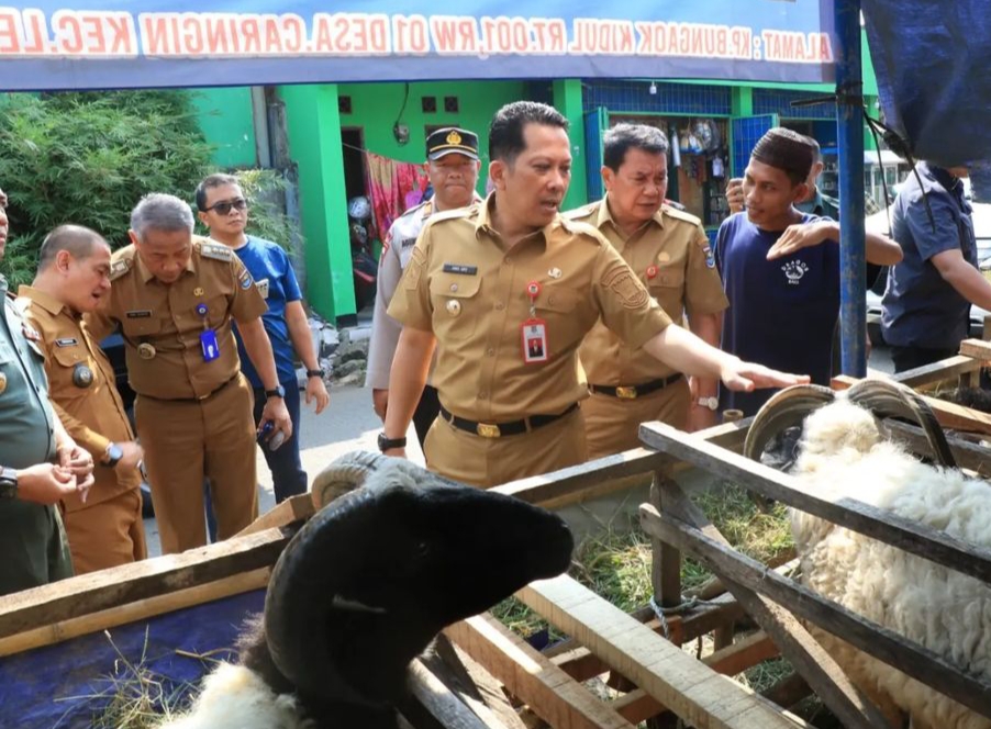 Sekda Tangerang Jamin Hewan Kurban Sehat dan Aman Dikonsumsi