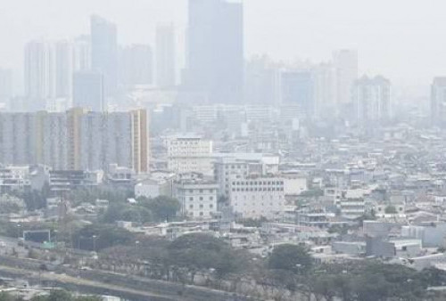 Polusi Udara Sebabkan Gangguan Kognitif dan Stunting