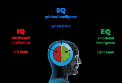 Perbedaan IQ, EQ, dan SQ: Mengenal Jenis Kecerdasan yang Berbeda